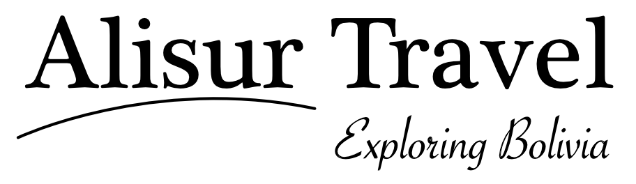 Logo Alisur Travel